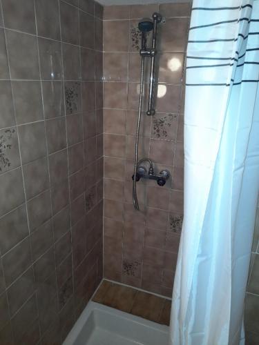 La salle de bains est pourvue d'une douche avec une baignoire et un rideau de douche. dans l'établissement Le chalet des neiges 2, aux Carroz d'Arâches