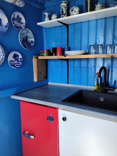 a kitchen with blue and red cabinets and a sink at Slapen bij de molenaar in Leerdam