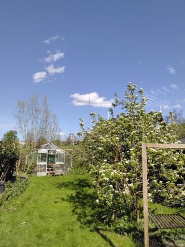 a garden with a greenhouse and some flowers at Slapen bij de molenaar in Leerdam
