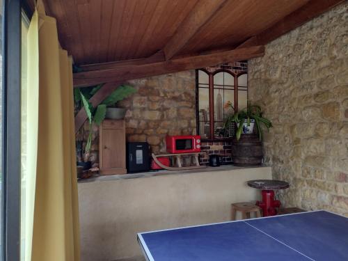 une cuisine avec un comptoir, une table et un four micro-ondes dans l'établissement A La Maison des Oiseaux, à Saint-Avit-Sénieur