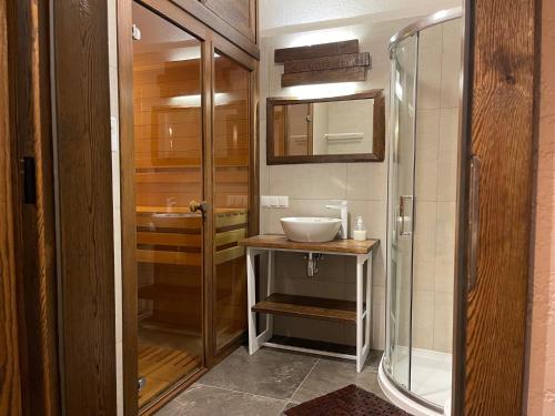 a bathroom with a sink and a glass shower at APARTAMENT KAUKAZ in Szczawnica