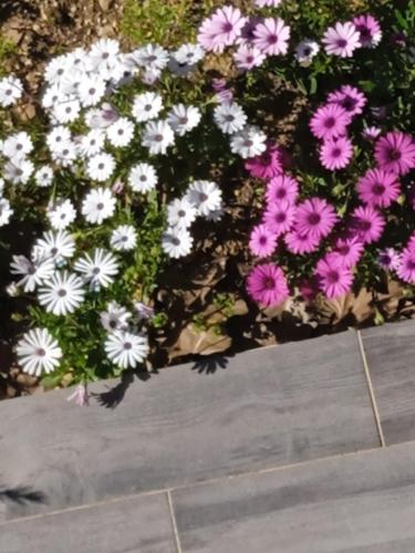 Provencal style home in Mediterranean seaside town