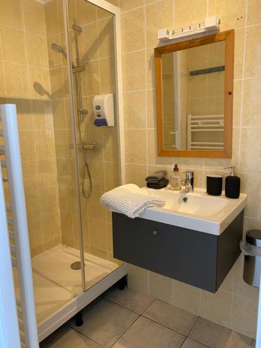 a bathroom with a sink and a shower at Penty de Mézareun in Lampaul