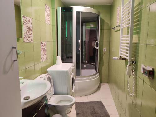 ein Bad mit einem WC, einem Waschbecken und einer Dusche in der Unterkunft Apartments near BIG in Vilnius