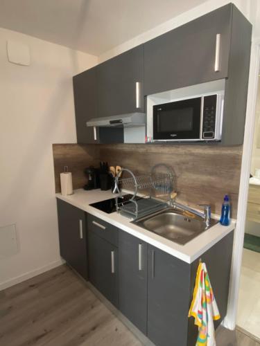 eine Küche mit einer Spüle und einer Mikrowelle in der Unterkunft Appartement proche CNPE et PIPA in Saint-Denis-en-Bugey
