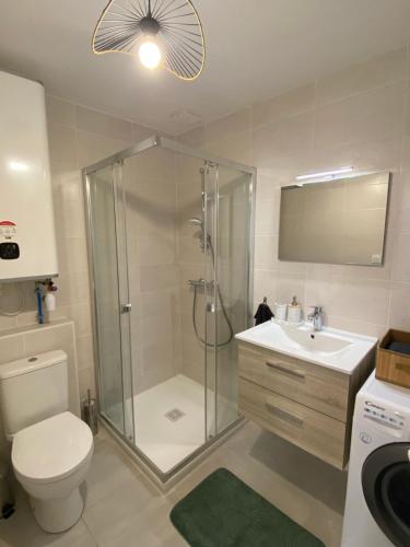 ein Bad mit einer Dusche, einem WC und einem Waschbecken in der Unterkunft Appartement proche CNPE et PIPA in Saint-Denis-en-Bugey