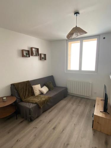 ein Wohnzimmer mit einem Sofa und einem Tisch in der Unterkunft Appartement proche CNPE et PIPA in Saint-Denis-en-Bugey