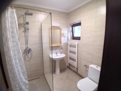 La salle de bains est pourvue d'une douche, d'un lavabo et de toilettes. dans l'établissement PENSIUNEA SUBCETATE, à Polovragi