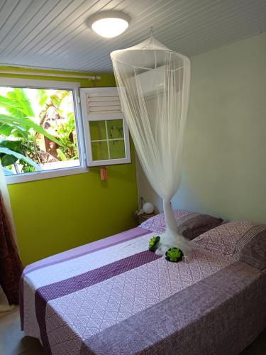 a bedroom with a bed with a curtain on it at Sous le manguier in Sainte-Anne