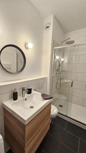 une salle de bain avec un lavabo et une douche avec un miroir dans l'établissement Superbe appartement 2 chambres au coeur de Pau, à Pau