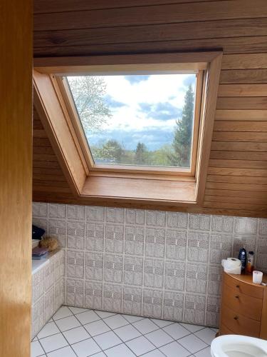 a bathroom with a skylight and a window at Ferienwohnung Frangenberg in Lindlar