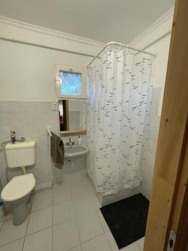 a bathroom with a toilet and a shower curtain at Zselic Kapuja Vendégház in Kaposszerdahely