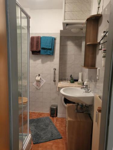a bathroom with a sink and a toilet and a shower at Appartement Purzel in Mauerbach