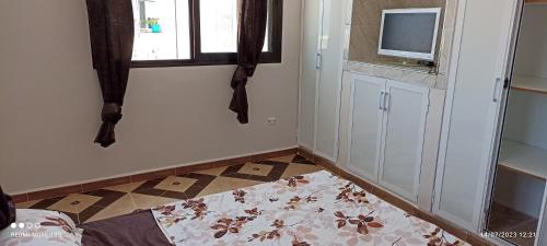 een kamer met een tv, een raam en een tapijt bij Les tamaris in 'Aïn Taya