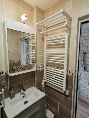 une salle de bain avec un lavabo et un miroir dans l'établissement Studio Sunset - Biarritz, à Biarritz