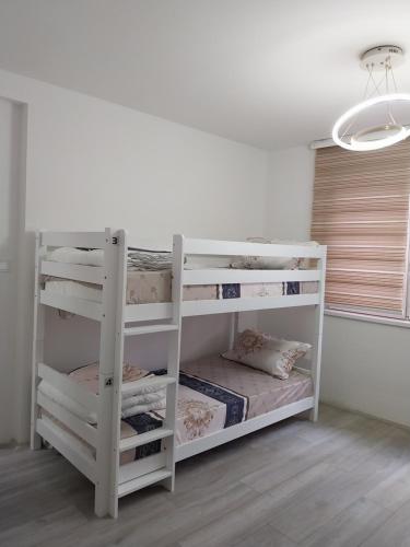 מיטה או מיטות קומותיים בחדר ב-DM Hostel and Apartments