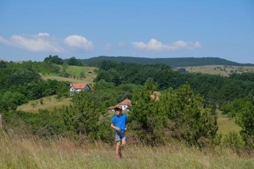 a man in a blue shirt standing in a field at Kras village 
