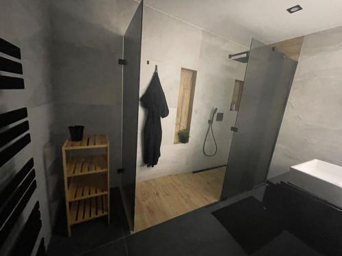 a bathroom with a shower and a sink at AURA Hlinsko in Hlinsko