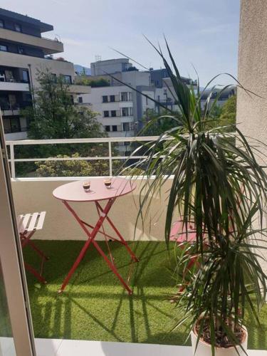 une table rose et deux plantes en pot sur un balcon dans l'établissement T2 proche lac, à Annecy
