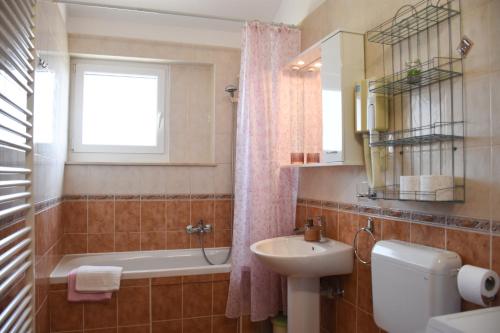 a bathroom with a sink and a toilet and a tub at Apartments Divna in Betina