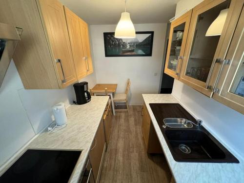 eine kleine Küche mit einer Spüle und einer Theke in der Unterkunft Gemütliches 2-Raum-Apartment in Chemnitz