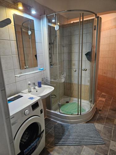 a bathroom with a shower and a washing machine at Danube Bridge Apartments in Budapest