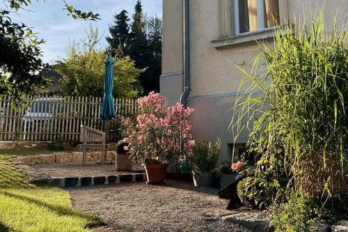 a garden with plants and an umbrella next to a building at Schöner Wohnen im alten Rathaus in Achberg, See+Berge vor der Tür in Achberg