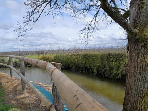 une clôture en bois à côté d'une rivière avec un arbre dans l'établissement Domaine Cosme, à Le Noyer-en-Ouche