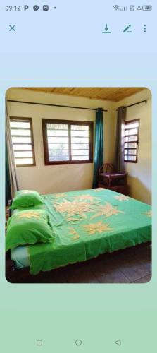 sypialnia z zielonym łóżkiem i 2 oknami w obiekcie Meva w mieście Hell-Ville