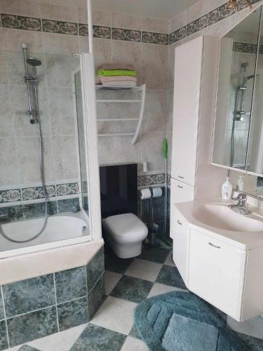 een badkamer met een douche, een toilet en een wastafel bij Logies in Knokke-Heist