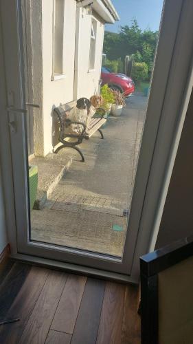 Φωτογραφία από το άλμπουμ του Hillside Haven σε Tipperary