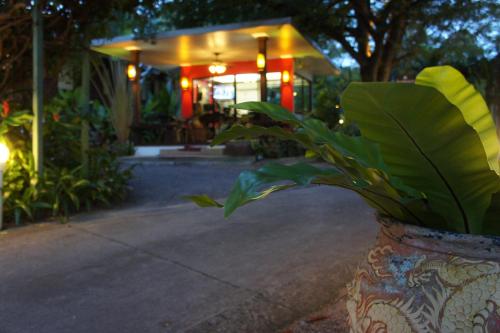 a vase with a plant in front of a building at Palm Village in Rawai Beach