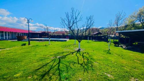 Gallery image of LA GRADINA in Coteşti