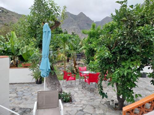 a table and chairs in an apple tree at Casa el Hoyo in Hermigua