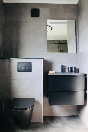 a bathroom with a sink and a toilet and a mirror at Prachtige vakantievilla aan IJsselmeer Makkum in Makkum