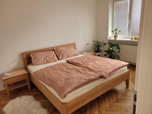 Nový apartman Eva tesisinde bir odada yatak veya yataklar
