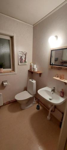 a bathroom with a toilet and a sink at Vindelälv Stuga in Blattnicksele in Blattniksele