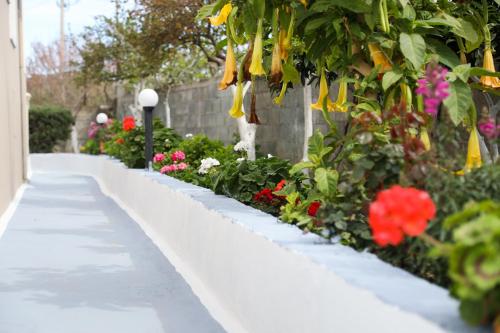 a white walkway with flowers in a garden at Guest House Narta in Vlorë