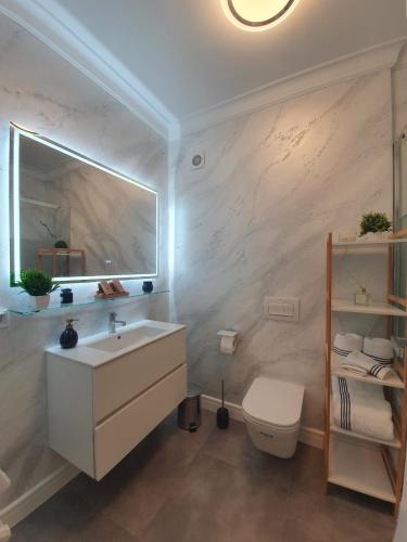 a bathroom with a sink and a toilet and a mirror at Tzuba Luxury Home Coresi Mall Brasov in Braşov