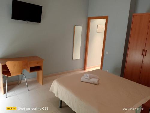 a bedroom with a bed and a desk and a television at Hotel Sant Jordi in Segur de Calafell