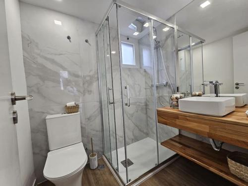 a bathroom with a shower and a toilet and a sink at Casa da Aldeia in Olhos de Água