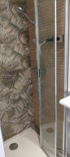 a shower with a glass door in a bathroom at Gîte de Cantilly meublé de tourisme 3 étoiles *** in Bacilly