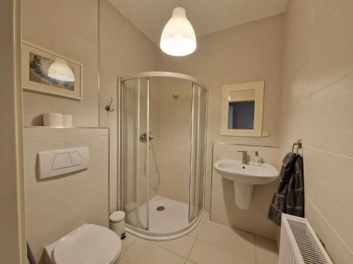 ein Bad mit einer Dusche, einem WC und einem Waschbecken in der Unterkunft Leśny zakątek apartament nr 5 in Radzyń