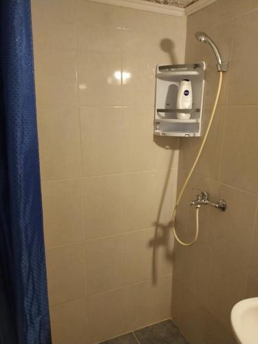 e bagno con doccia, servizi igienici e lavandino. di Petkovic Apartmani 2 a Tivat