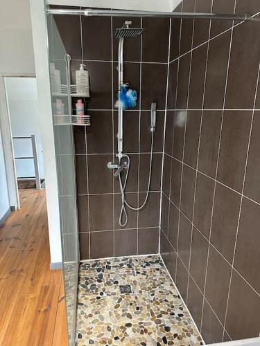 une douche avec pommeau de douche dans une salle de bain dans l'établissement Maison proche du lac !, à Hourtin