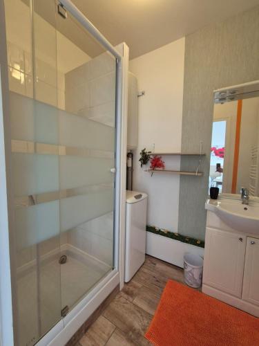une salle de bain avec une douche en verre et un lavabo dans l'établissement Studio avec terrasse, à Bagnoles-de-l'Orne