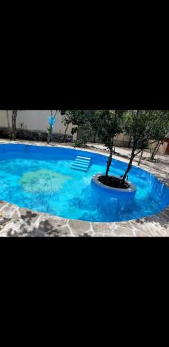 圖盧姆的住宿－Villa luna y sombra，蓝色的游泳池,里面有一棵树