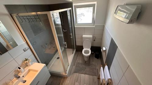 Apartment Štucin في فيبافا: حمام صغير مع دش ومرحاض
