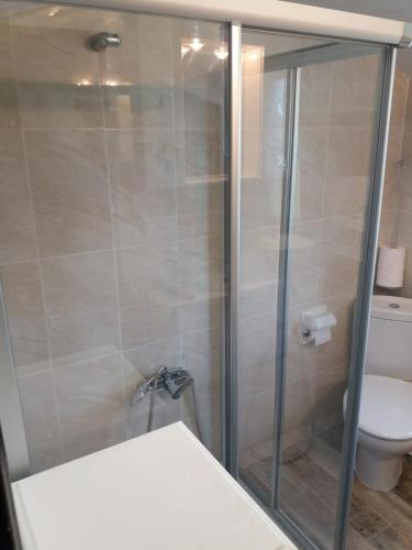 a shower stall in a bathroom with a toilet at Apartamentos Santillán in San Vicente de la Barquera