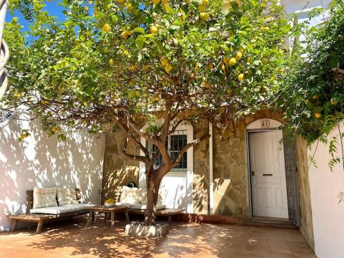 Casa Limón Nerja